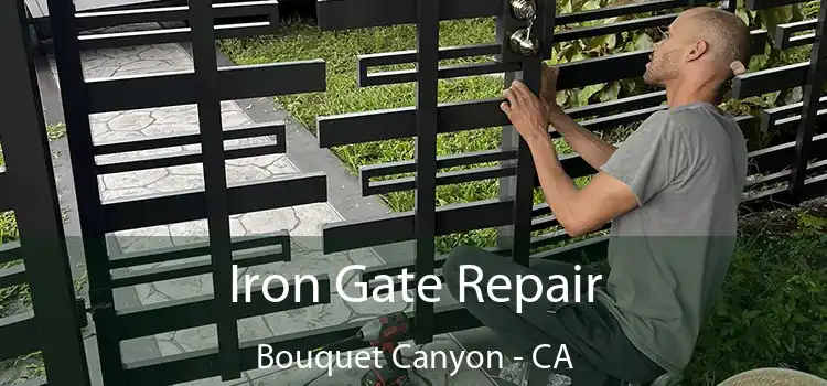  Iron Gate Repair Bouquet Canyon - CA