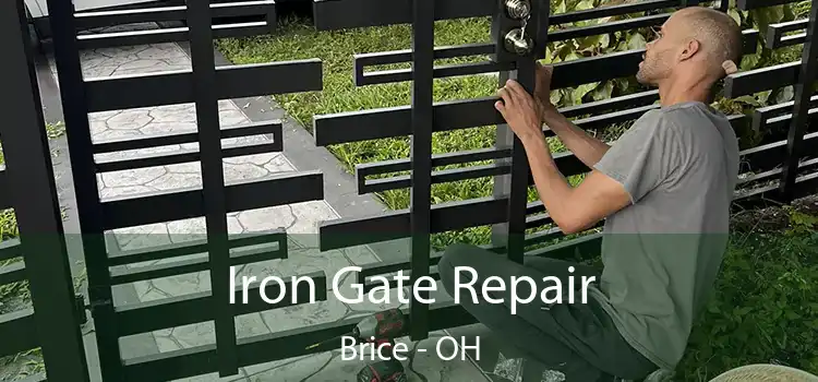  Iron Gate Repair Brice - OH