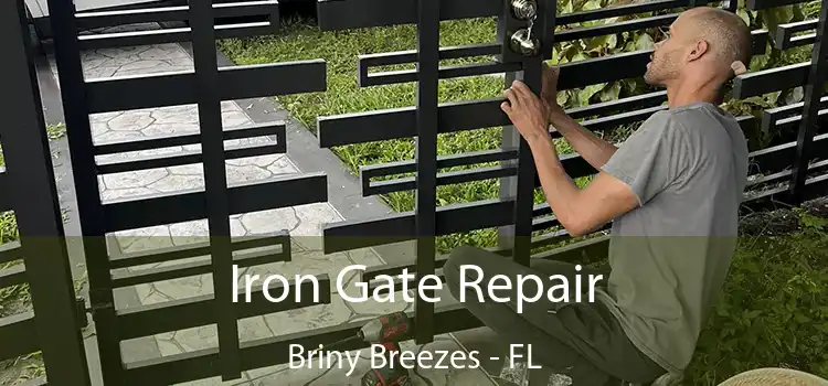  Iron Gate Repair Briny Breezes - FL