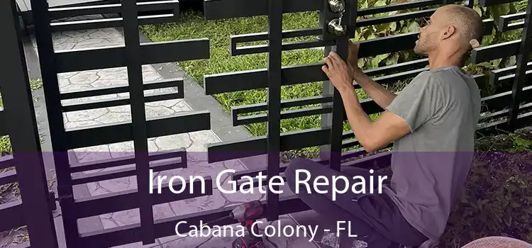  Iron Gate Repair Cabana Colony - FL