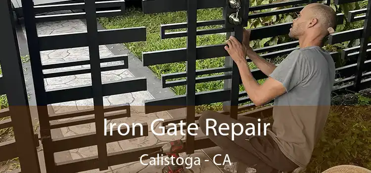  Iron Gate Repair Calistoga - CA