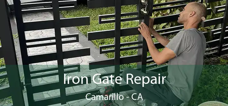  Iron Gate Repair Camarillo - CA