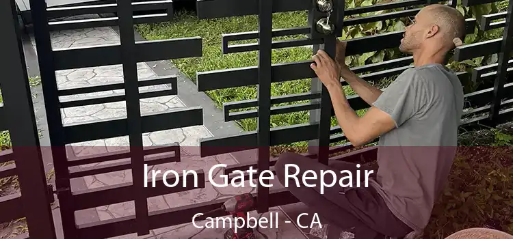  Iron Gate Repair Campbell - CA