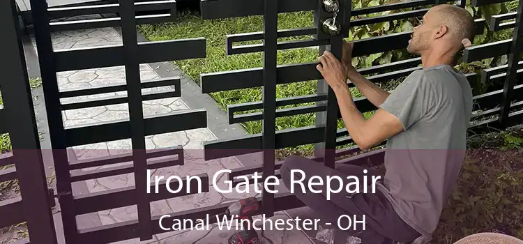  Iron Gate Repair Canal Winchester - OH