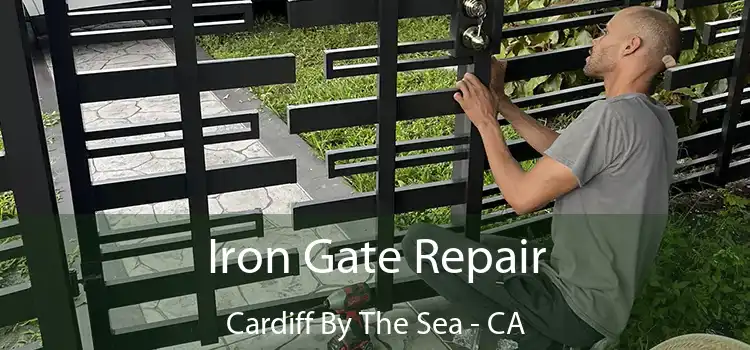  Iron Gate Repair Cardiff By The Sea - CA