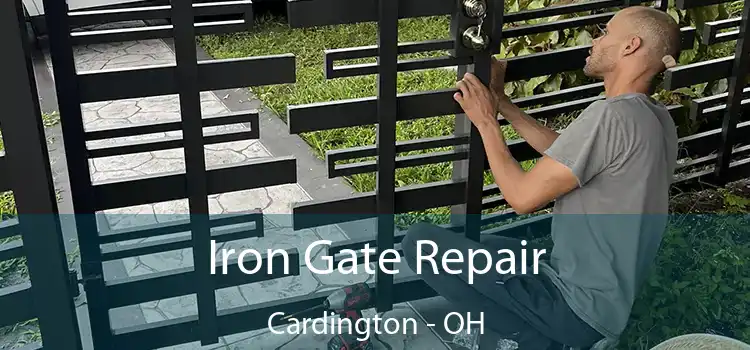  Iron Gate Repair Cardington - OH