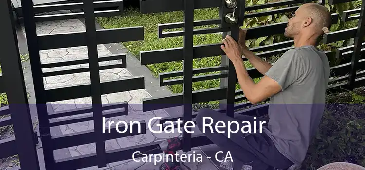  Iron Gate Repair Carpinteria - CA