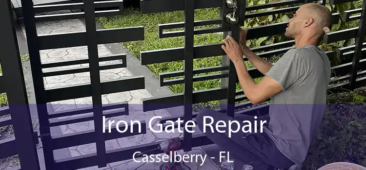  Iron Gate Repair Casselberry - FL