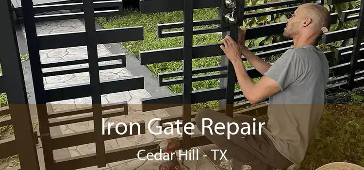  Iron Gate Repair Cedar Hill - TX