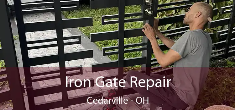  Iron Gate Repair Cedarville - OH