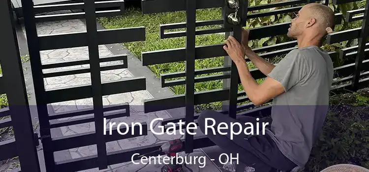  Iron Gate Repair Centerburg - OH