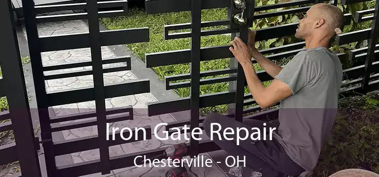  Iron Gate Repair Chesterville - OH