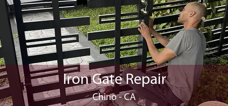  Iron Gate Repair Chino - CA