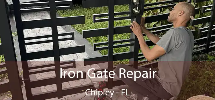  Iron Gate Repair Chipley - FL