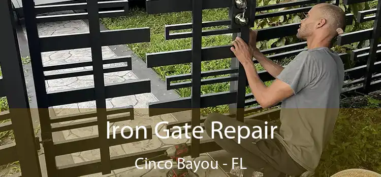  Iron Gate Repair Cinco Bayou - FL