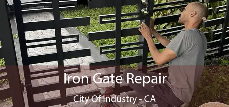  Iron Gate Repair City Of Industry - CA