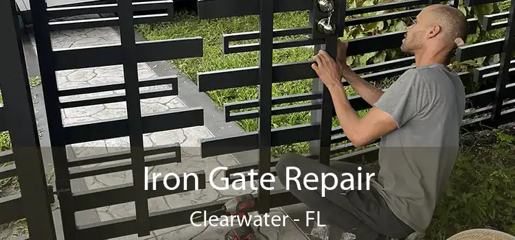  Iron Gate Repair Clearwater - FL