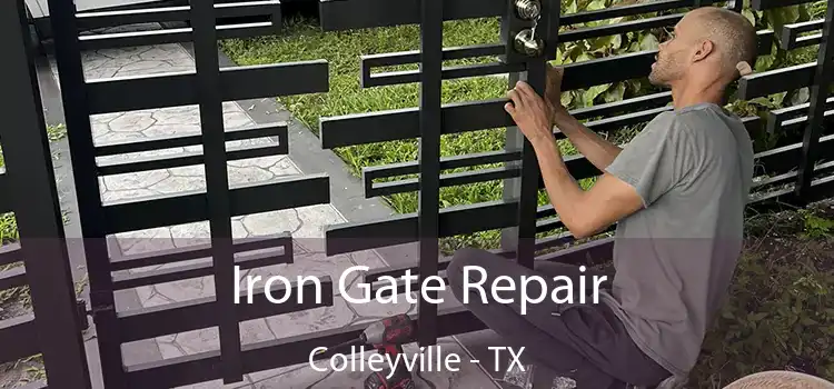  Iron Gate Repair Colleyville - TX