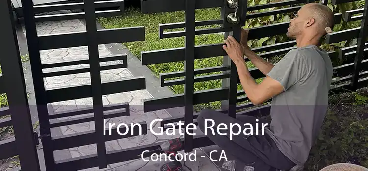  Iron Gate Repair Concord - CA