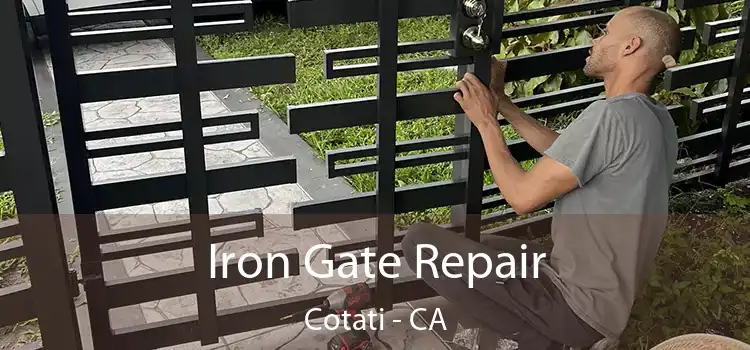  Iron Gate Repair Cotati - CA