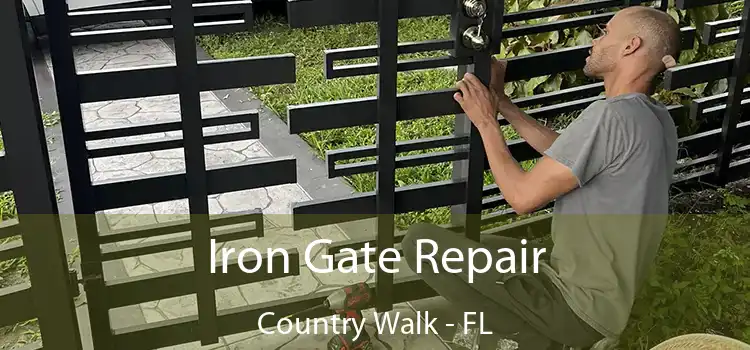  Iron Gate Repair Country Walk - FL