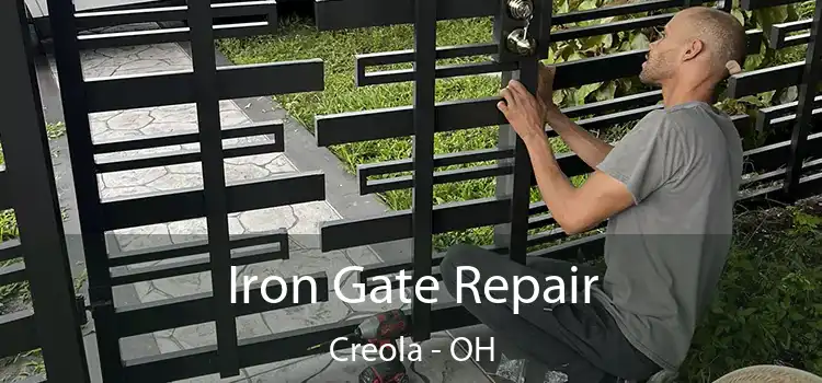  Iron Gate Repair Creola - OH