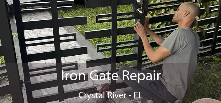  Iron Gate Repair Crystal River - FL