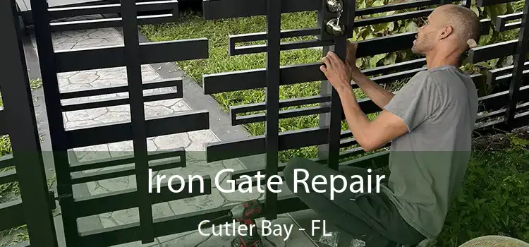  Iron Gate Repair Cutler Bay - FL