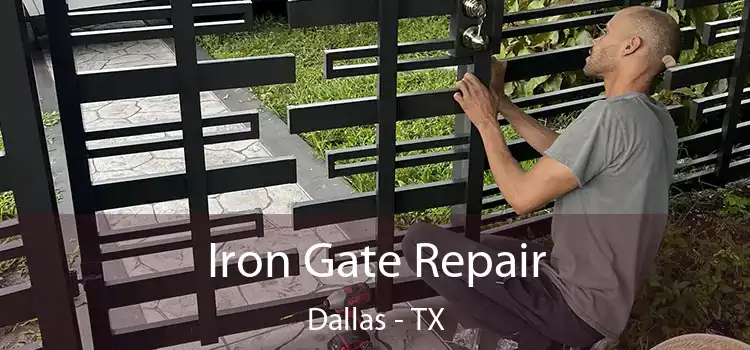  Iron Gate Repair Dallas - TX