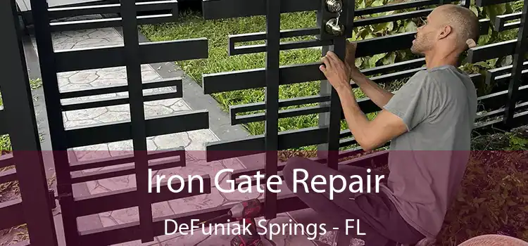  Iron Gate Repair DeFuniak Springs - FL