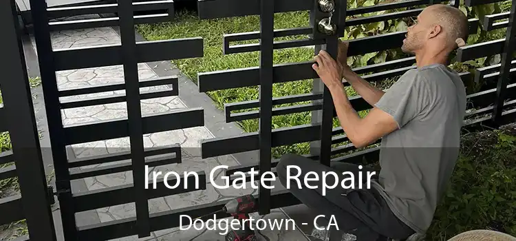  Iron Gate Repair Dodgertown - CA