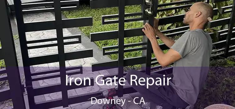  Iron Gate Repair Downey - CA