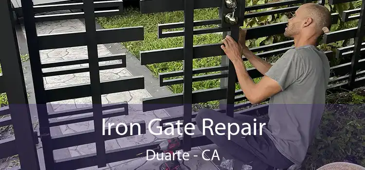  Iron Gate Repair Duarte - CA