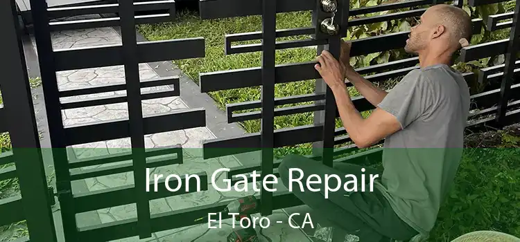  Iron Gate Repair El Toro - CA