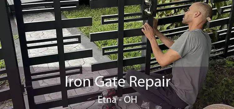  Iron Gate Repair Etna - OH