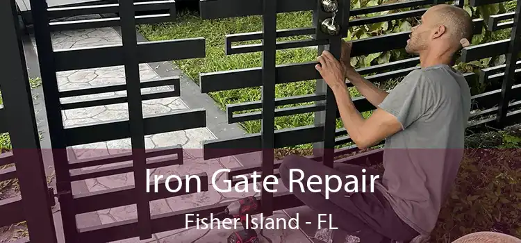  Iron Gate Repair Fisher Island - FL