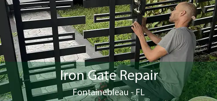  Iron Gate Repair Fontainebleau - FL