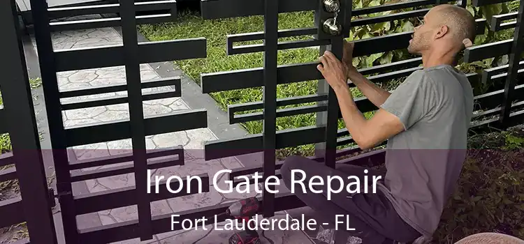  Iron Gate Repair Fort Lauderdale - FL