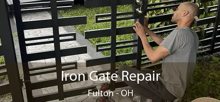  Iron Gate Repair Fulton - OH