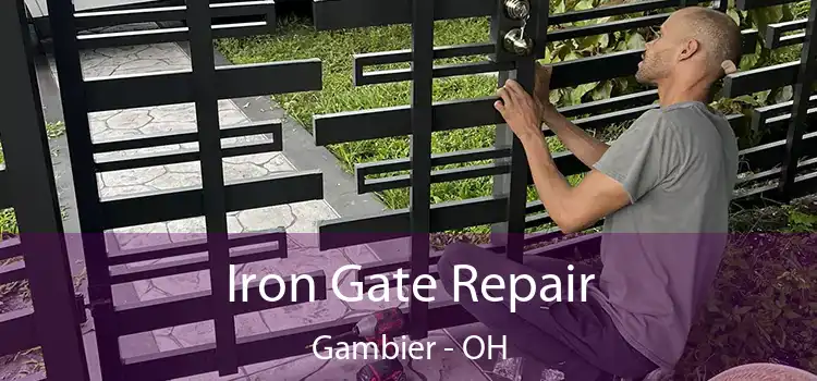  Iron Gate Repair Gambier - OH