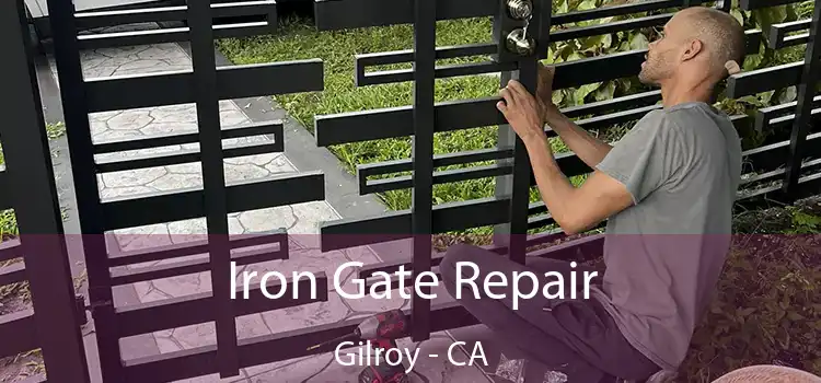  Iron Gate Repair Gilroy - CA