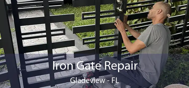  Iron Gate Repair Gladeview - FL