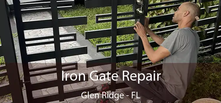  Iron Gate Repair Glen Ridge - FL