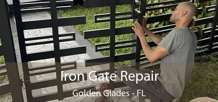  Iron Gate Repair Golden Glades - FL