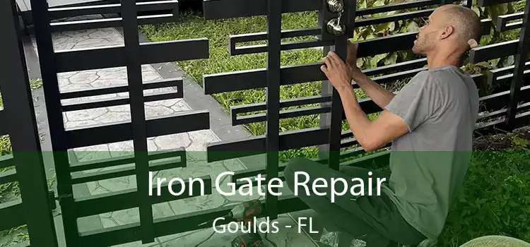  Iron Gate Repair Goulds - FL