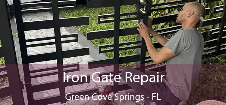  Iron Gate Repair Green Cove Springs - FL