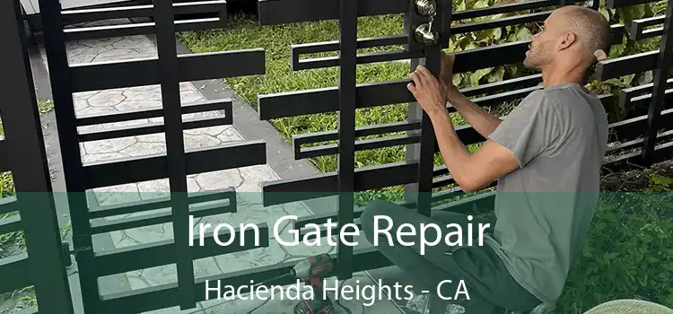  Iron Gate Repair Hacienda Heights - CA