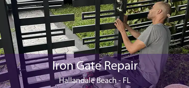  Iron Gate Repair Hallandale Beach - FL