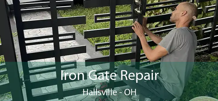  Iron Gate Repair Hallsville - OH