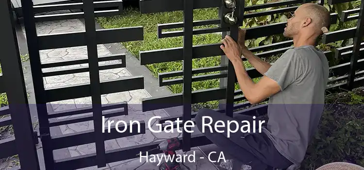  Iron Gate Repair Hayward - CA